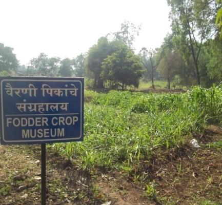 fodder museum